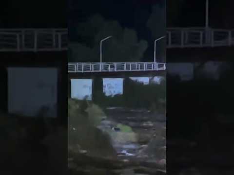 Heroico rescate de perro en Illapel