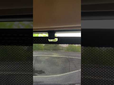 Replace Integrated sunshade clip on Honda Odyssey 2005 EXL