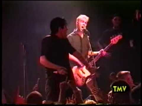 A.F.I. - File 13 - Live