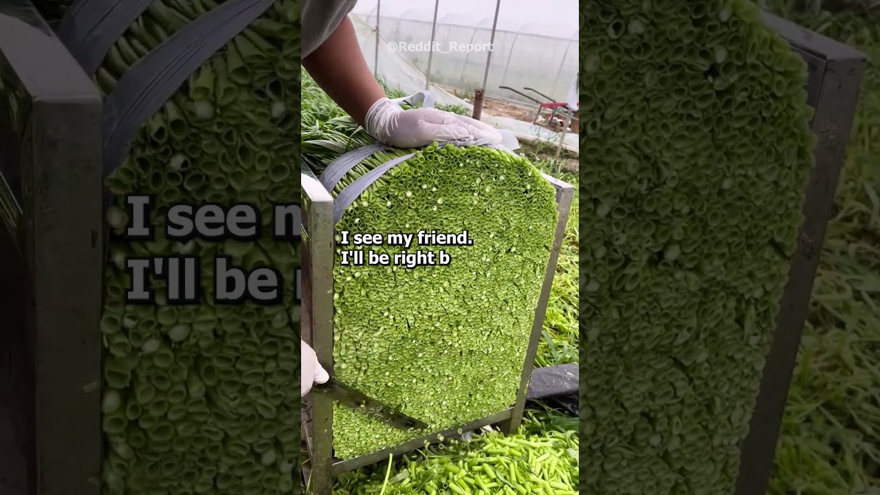 What was the best revenge you've ever gotten?