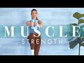 Weight Training Workout To Build Muscle For Beginners Seniors Strength W Dumbbells