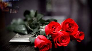 ROD STEWART MANDOLIN WIND