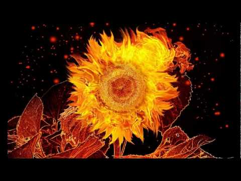 Indian Ropeman Featuring Shahin Badar -- 66 Meters