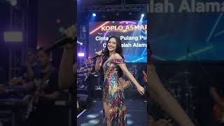 Download lagu DANGDUT KOPLO TERBARU 🔥 Teman Ngopi & Teman Santai | Lagu Koplo Enak Didengar mp3
