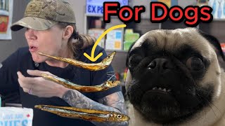 I ate my dog’s sardine treats! 🫣🫣