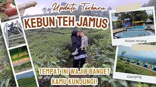 Download lagu Kebun Teh Jamus Ngawi Terbaru 2024 mp3