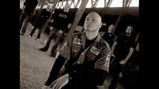 soilwork - observation slave