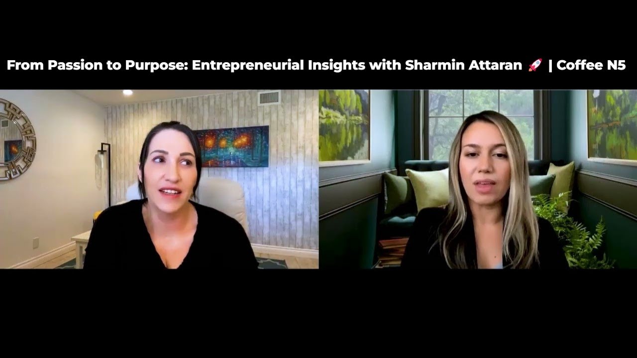 Promotional video thumbnail 2 for Business and Marketing Strategy Speaker