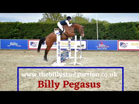 Billy Pegasus
