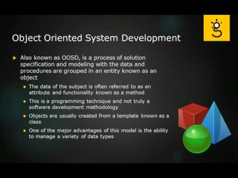 1 Business Realization