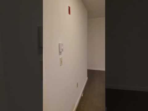 40 Queensberry St. Unit D, Fenway-Boston MA 02115