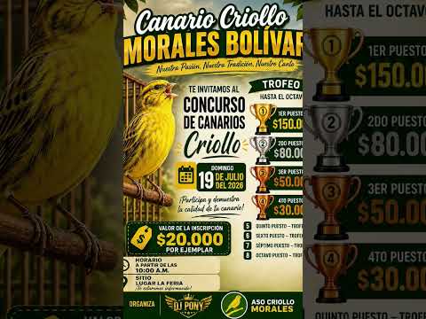 concurso de canarios criollo morales bolivar 2026