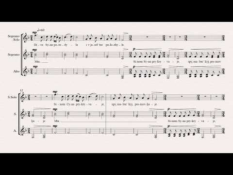 0081 Diva Syna porodyla