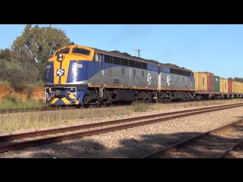 CFCLA's S300, S311  running the Adelaide - Port Pirie freight