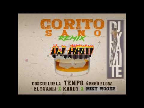 Tempo x Cosculluela x Ñengo Flow x Miky Woodz x Randy x Elysanij   Corito Sano Regueton version Dj R