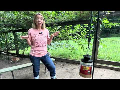 The Best Fly Trap for Chicken Coops! Finally Something That WORKS
