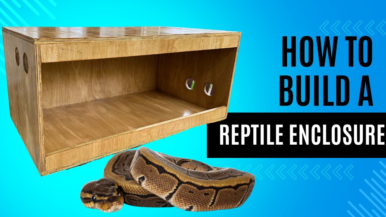 HOW TO BUILD A BALL PYTHON ENCLOSURE! (DIY!)