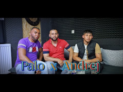 Palo ✖ Andrej - Nasi Sovav ( COVER )