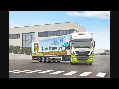 camionista rumeno bestemmia in dialetto veneto perchè un africano ha caricato male la merce