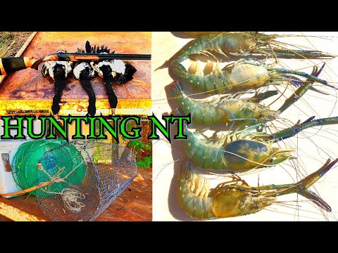 GIANT RIVER PRAWNS Home-made trap Geese Hunting Pool Pond Catch Clean Cook Jerky