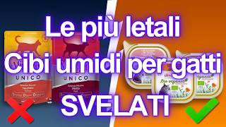 10 cibi umidi per gatti da EVITARE AD OGNI COSTO (e alcuni che sono SICURI)