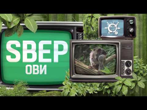 Superhiks - Majmuni (Lyrics Video)