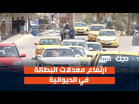 فيديو | ارتفاع معدلات البطالة في الديوانية يفاقم معاناة الشباب ويعقد معيشتهم | تقرير سيف علي