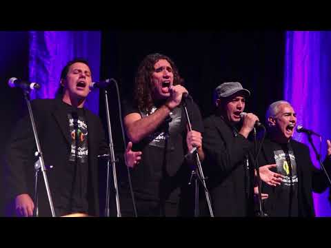 Tabaré Cardozo - Tiempo animal