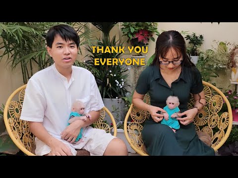 Everything about Baby Monkey SUGAR! Mom and Dad Thank Everybody Loves and Answers All Questions