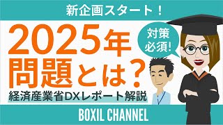 - 【2025年問題とは?】迫り来る危機!?問題の背景と対策を解説<経産省DXレポートより>