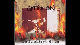 Satyricon - Black Winds