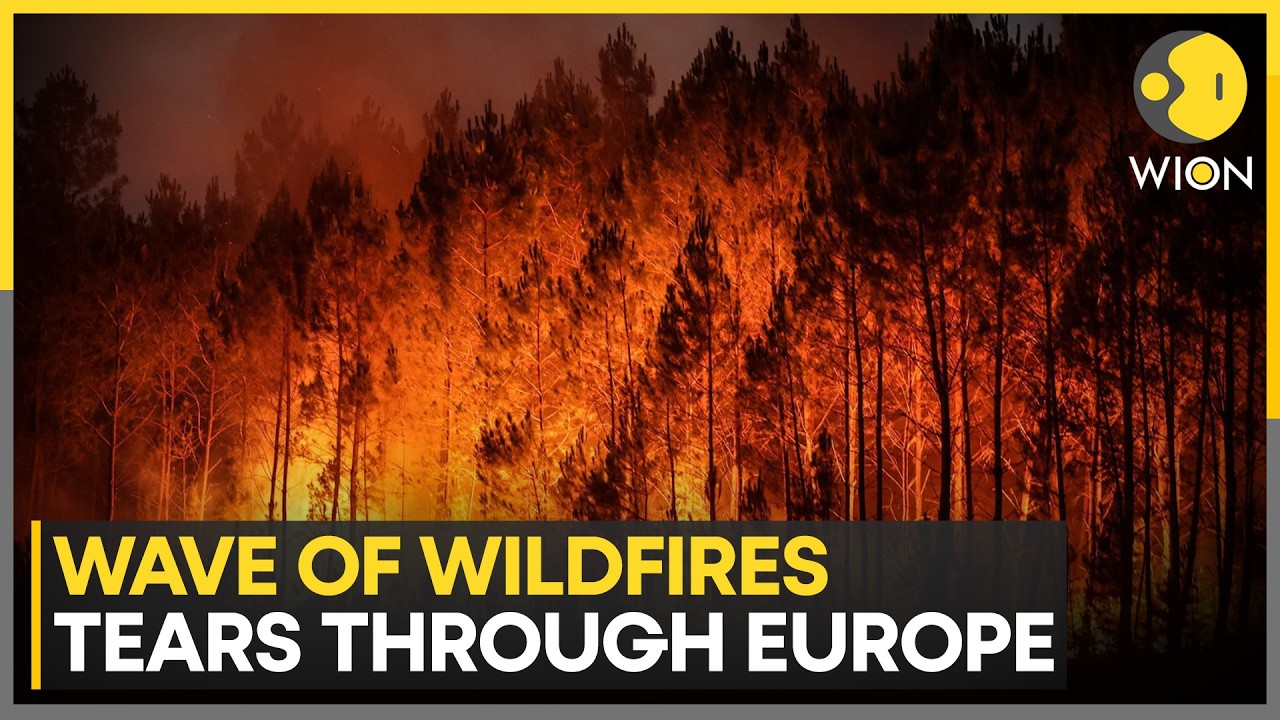 Europe Wildfires: Blaze Near Arcachon Bay In France Scorches 3,100 Hectares | WION News