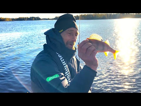 Ahvenen kalastus lusikkauistimella - Tekniikoita ja kalastusvinkkejä - Jasu Jalo