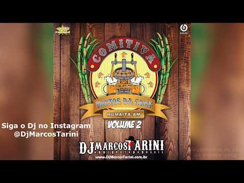 Comitiva Brutos da Cana Volume 2 Produção Dj Marcos Tarini (CD COMPLETO)