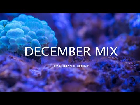 Human Element - December Mix | Progressive House || Melodic Techno