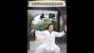 Tai Chi Single Whip demonstration thumbnail