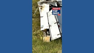 Monkeys escape truck crash