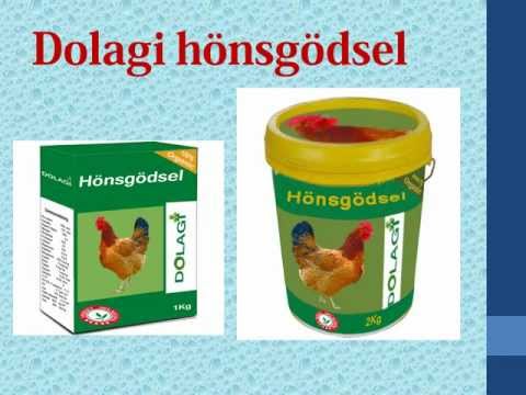 Hönsgödsel