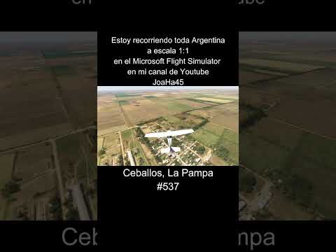 Comenten por donde quieren que pase 🇦🇷 #ceballos #lapampa #argentina #microsoftflightsimulator