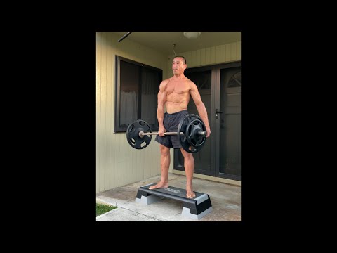 Day 330 FitPro Hawaii Workout-Single Arm Deficit Dead Lift (120-170 lbs.)-April 13, 2021, 6:21 pm