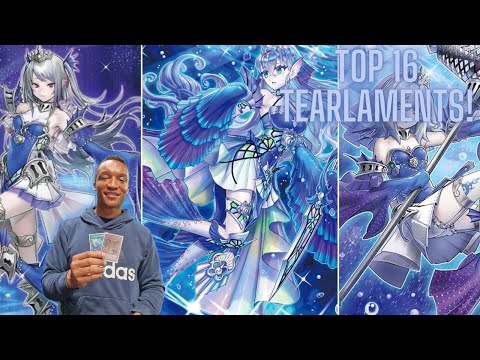 TOP 16 DUTCH NATIONALS 2024 TEARLAMENTS DECKPROFILE FT HARRISON!