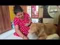 Bengali Vlog জানার ইচ্ছা হলে জিজ্ঞাসা করুন চি�