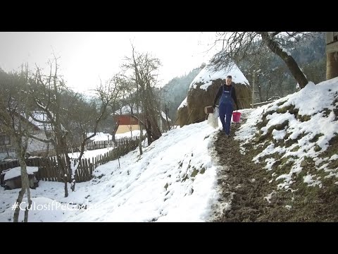 Dani Bumb, tânărul din Țara Moților care păstrează vie memoria bunicii Rodica (Rogoz, com. Albac) 🆕