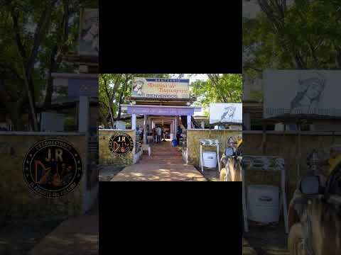 Si Vas Pa' Santa María @ReynaldoArmasOficial #musicallanera #guarico #llano #zaraza #apure