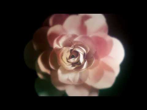 Video thumbnail for Come On Spring