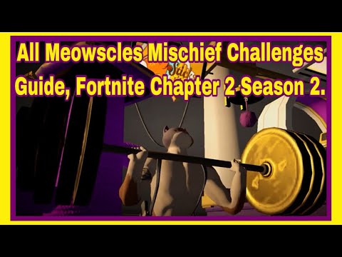 All Meowscles Mischief Week 6 Challenges Guide, Fortnite Chapter 2 Season 2.