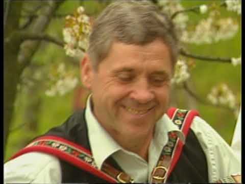 Ansambel Kuji - Nedelja