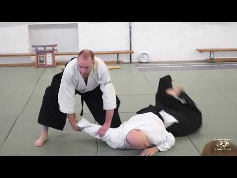 Aikido: Stephane Goffin Summerseminar 2019 Balaton