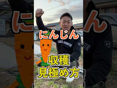 月にニンジンを蒔く方法