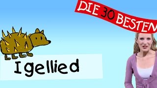 Igellied  - Anleitung zum Bewegen || Kinderlieder